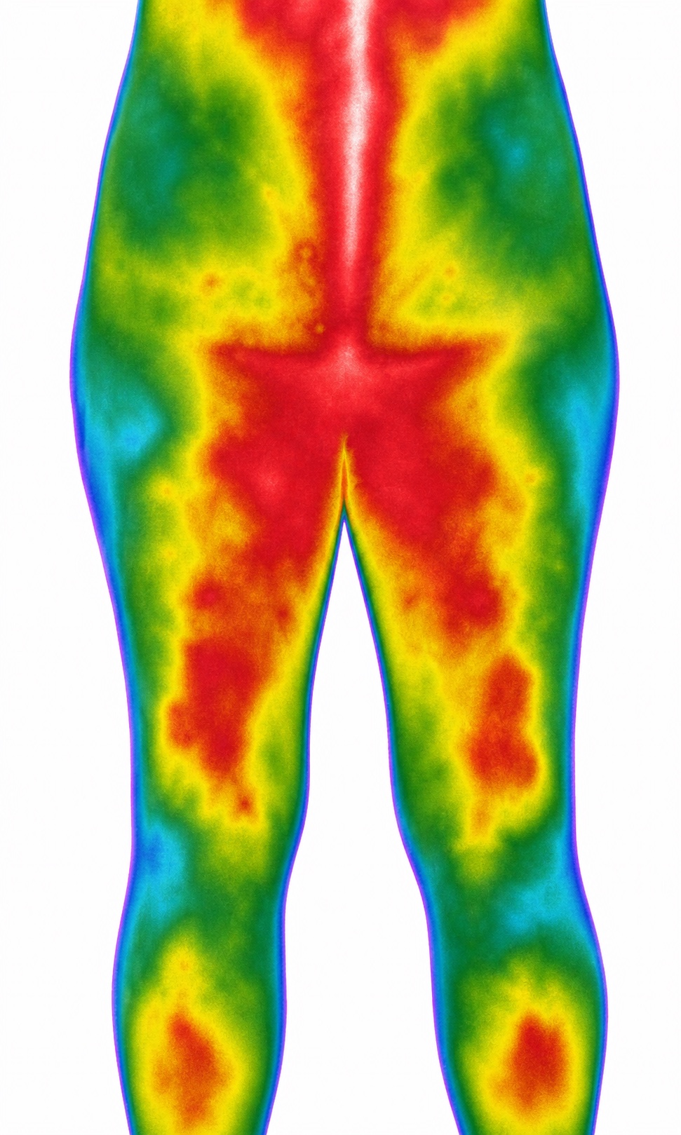 Imagen termográfica posterior del cuerpo humano usada como representación de imagen funcional